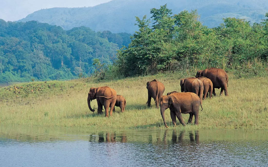 Thekkady